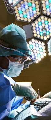 008PG国际(中国区)-官方网站